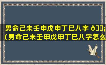 男命己未壬申戊申丁巳八字 🐡 （男命己未壬申戊申丁巳八字怎么样）